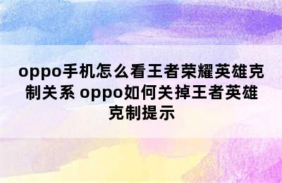 oppo手机怎么看王者荣耀英雄克制关系 oppo如何关掉王者英雄克制提示